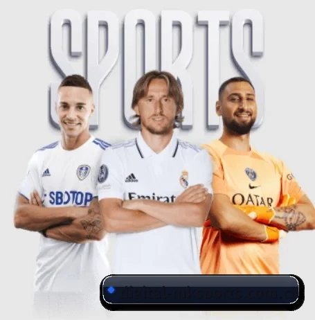 坚持做好基础的事(MKSPORTS MKSports)